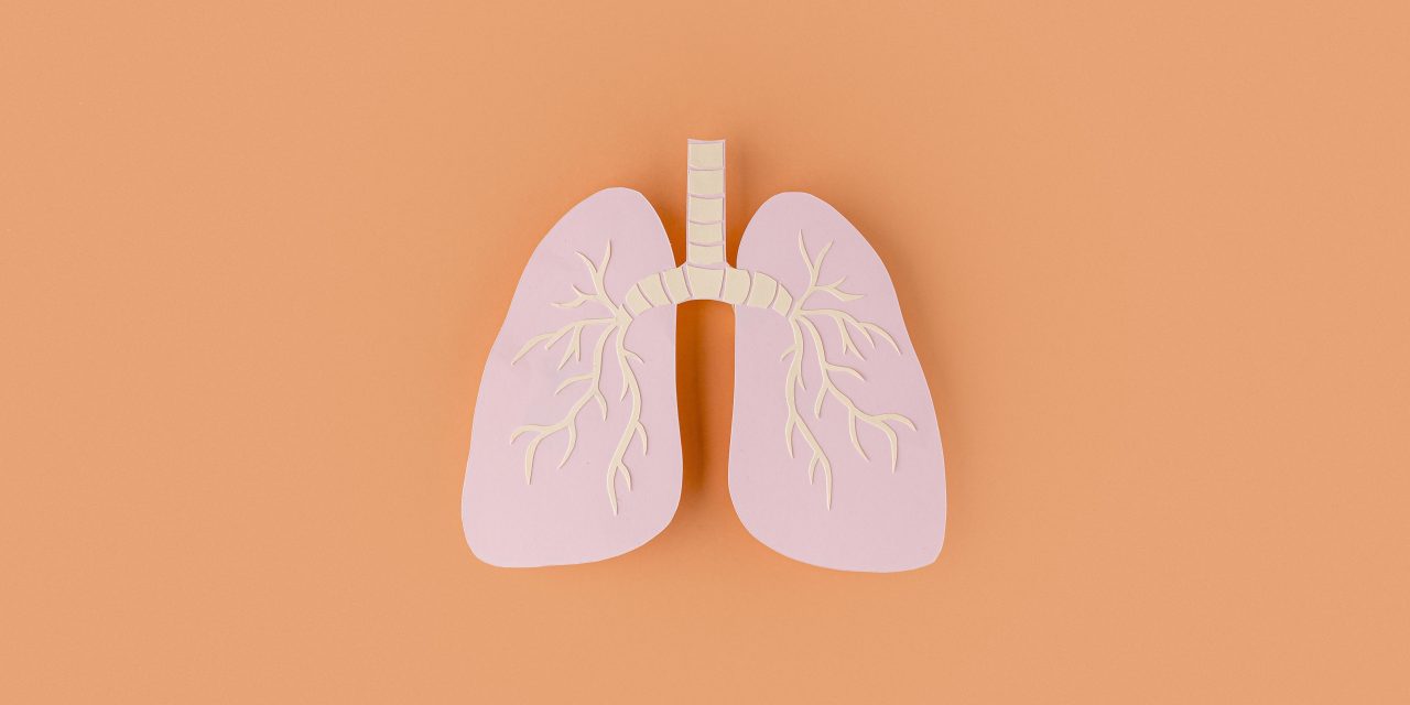 5 things to know about tuberculosis (TB)