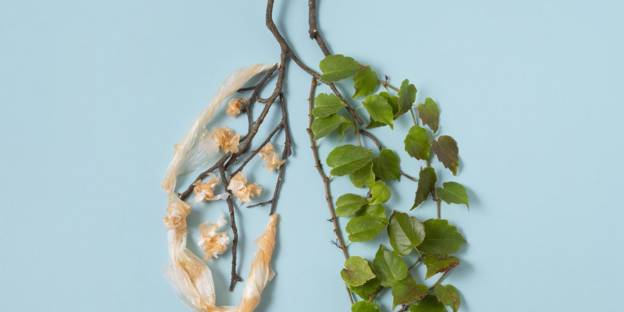 Boost your lung health with nourishing food