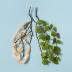 Boost your lung health with nourishing food